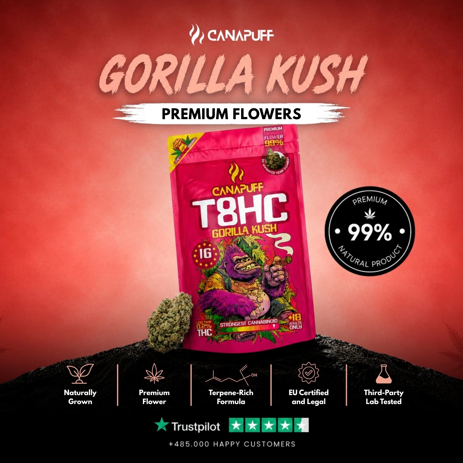 T8HC Virágzat Gorilla Kush 99%