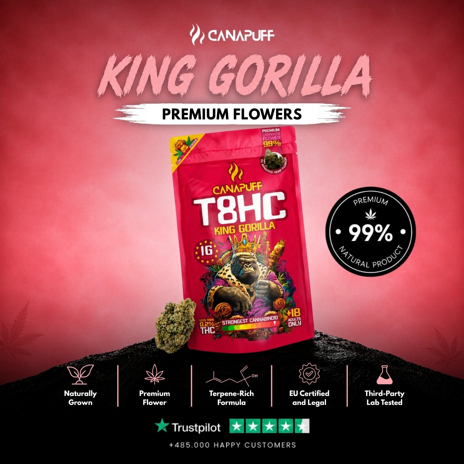 T8HC Virágzat King Gorilla 99%