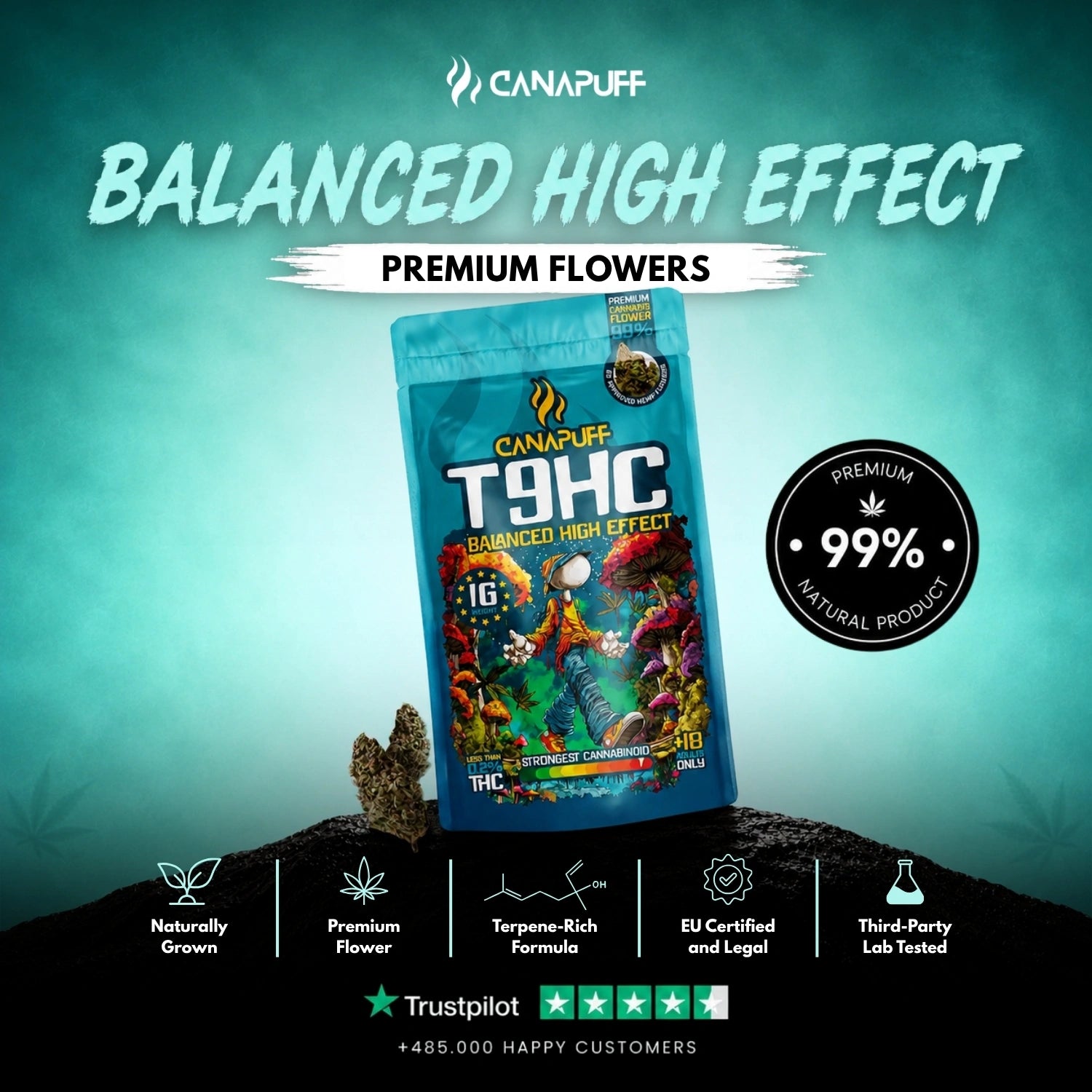T9HC Virágzat Balanced 99%
