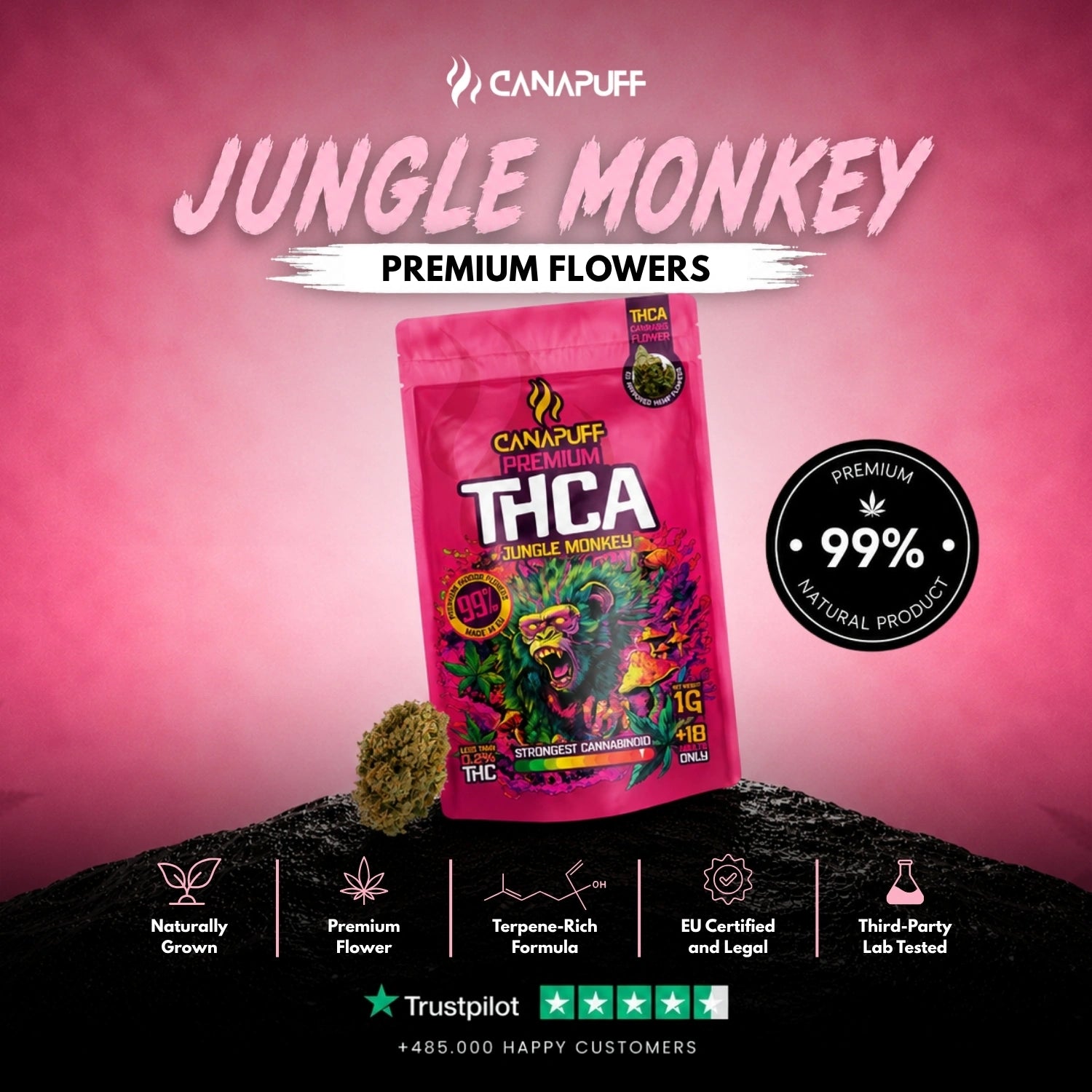 THCA Virágzat Jungle Monkey 99%