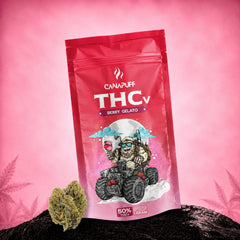 THCv Virágzat Berry Gelato 50%