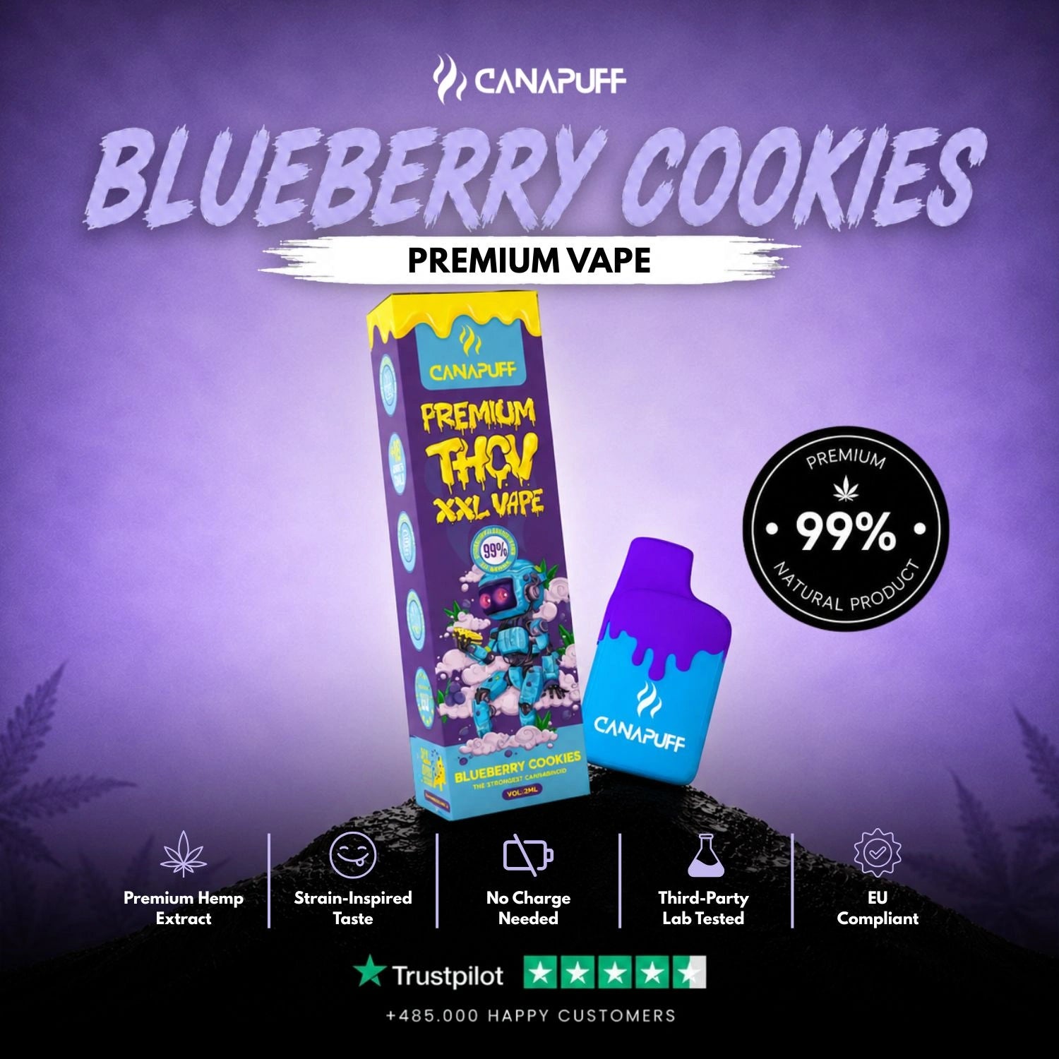 THCv Vape Áfonya cookies 99% 2 ml