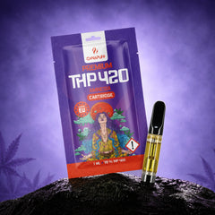 THP420 Patrón Amnesia 79%