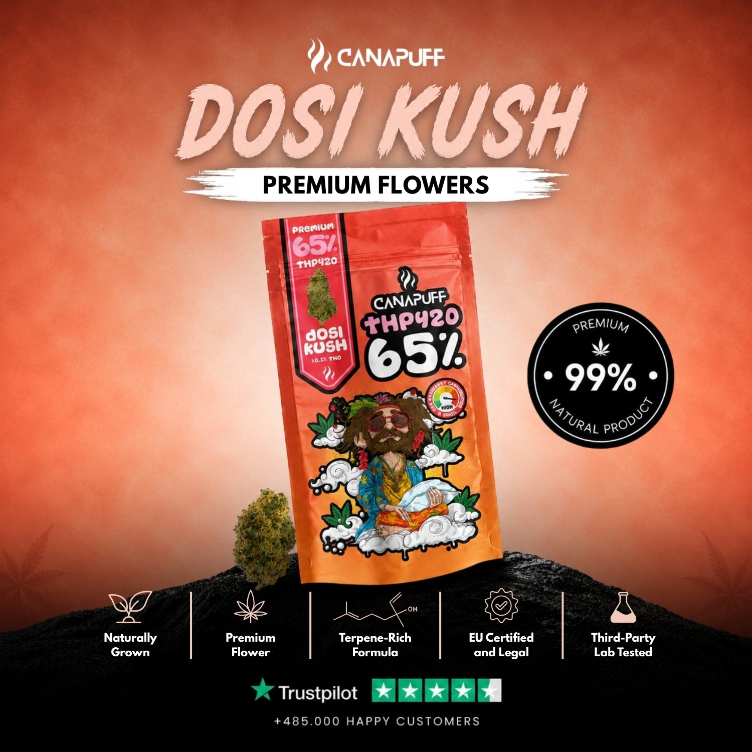 THP420 Virágzat Dosi Kush 65%