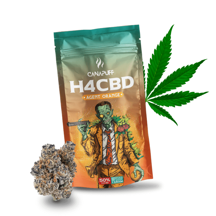 H4CBD Virágzat Agent Orange