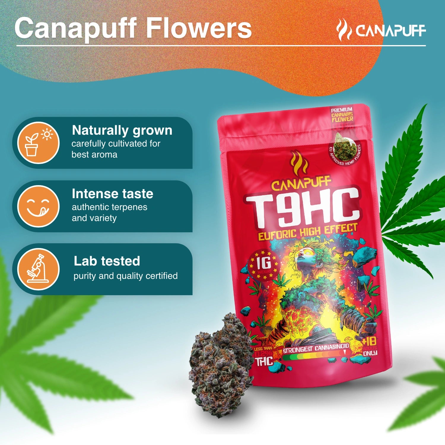 T9HC Virágzat Euforic 99%