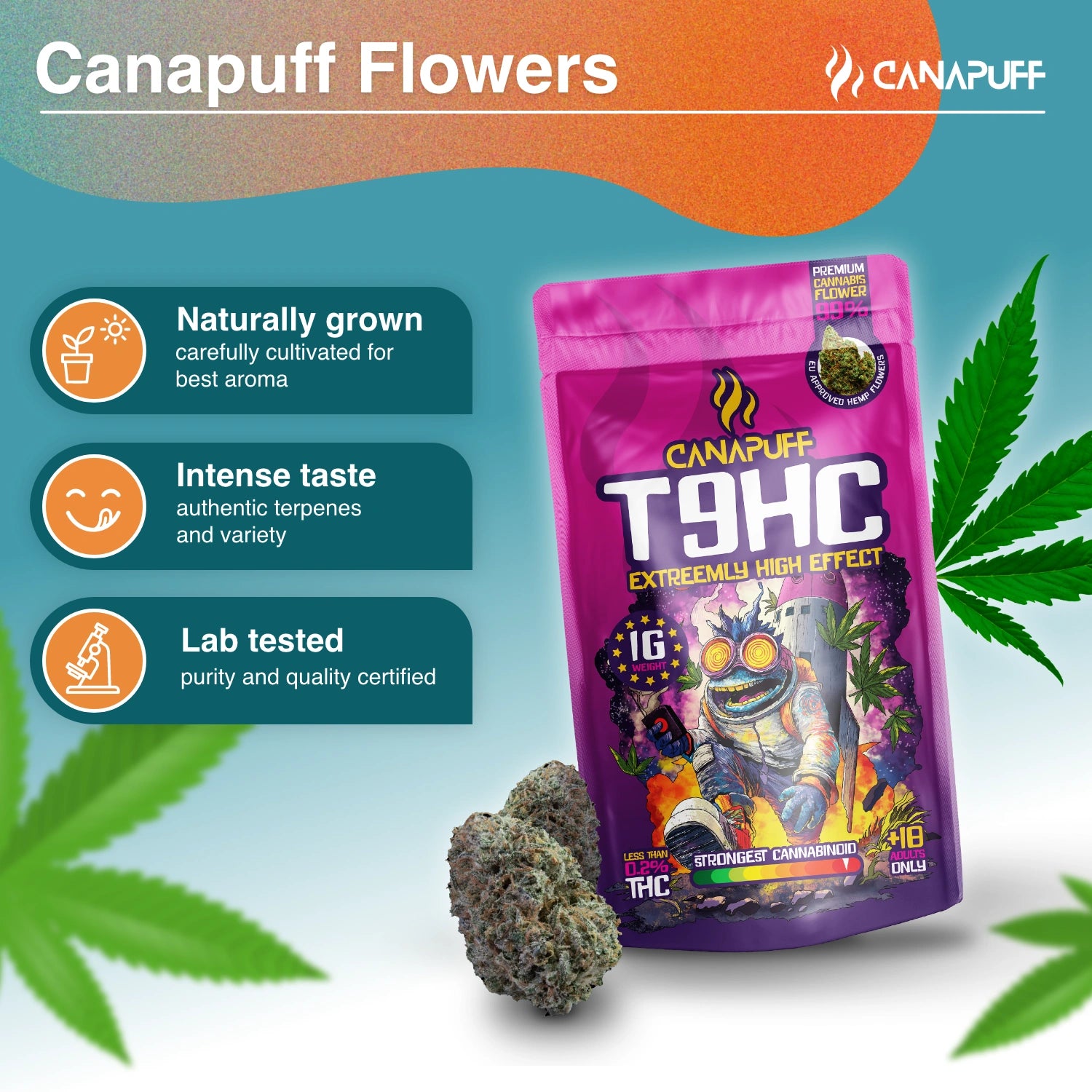 T9HC Virágzat Extreemly 99%