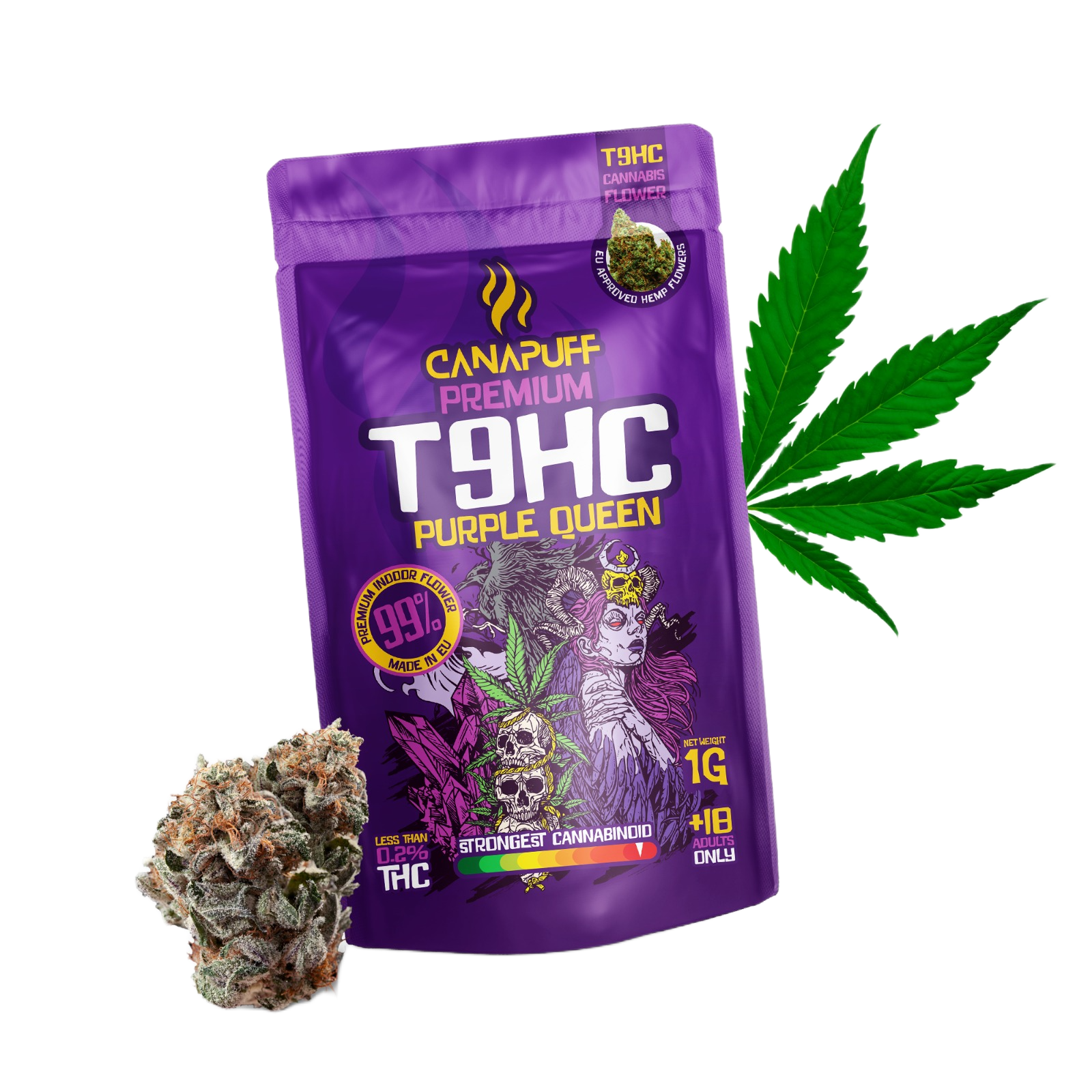 T9HC Virágzat Purple Queen 99%