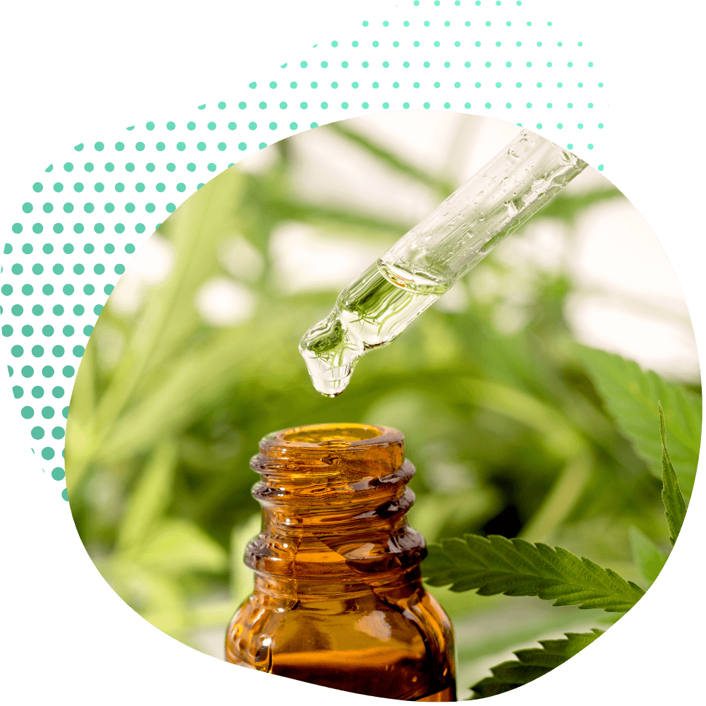 THC Olaj Hatások